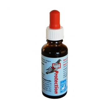 B.Protection 30ml