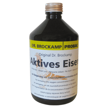 BR.Active Eisen 500ml
