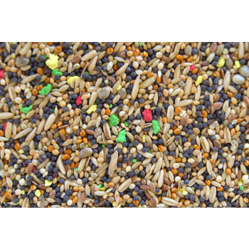 GW KU Kanarek uniwer 1kg