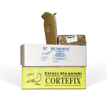 Cortefix 1 kostka