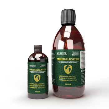 Volantor Mineralizator 100ml