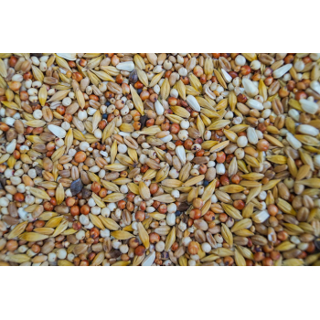 D- dieta - 20kg