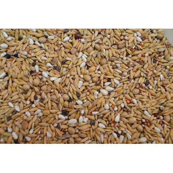 FAZA 1 - 20kg