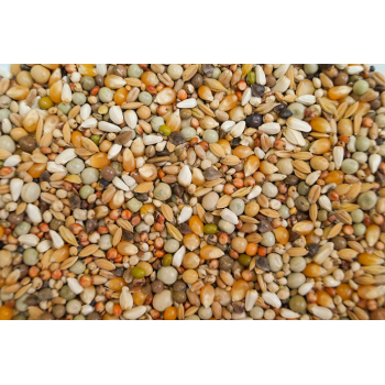 GDN- Gołębie Drobne Nasiona - 20kg