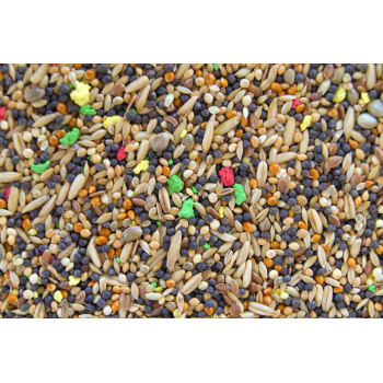 KU- Kanarek Uniwersalna - 20kg