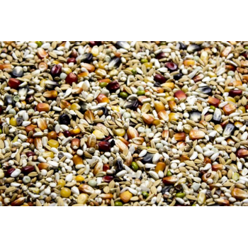 LM – Lotowa Maraton - 20kg