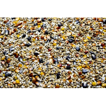 LSP – Lotowa Sprint - 20kg