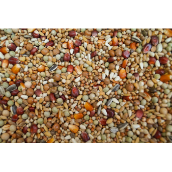 RX - Rozpłodowa Extra 20kg