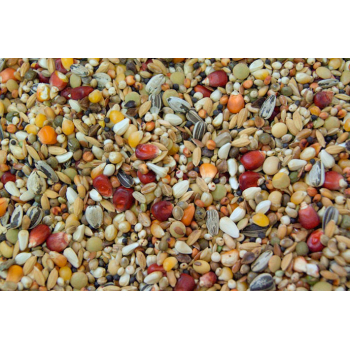 WE- WdowceExclusive - 20kg