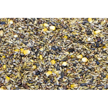 Z – zimowa z czarnym owsem - 25kg