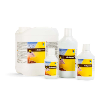 Belgasol  500ml
