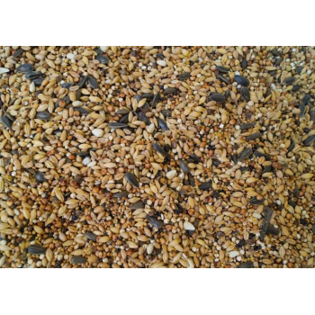 MDP-mieszanka dzikie ptaki - 20kg