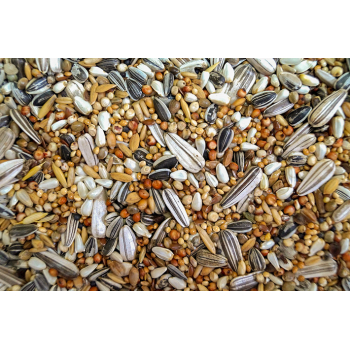 PSP – PAPUGA ŚREDNIA - 20kg
